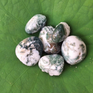 Tree Agate